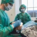 Sterowana regeneracja kości. Odbudowa tkanki kostnej w stomatologii
